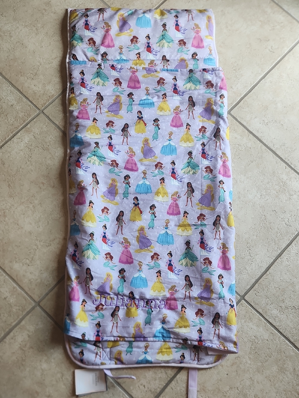 Pottery Barn Kids Disney Princess Nap May - Pink Multicolor